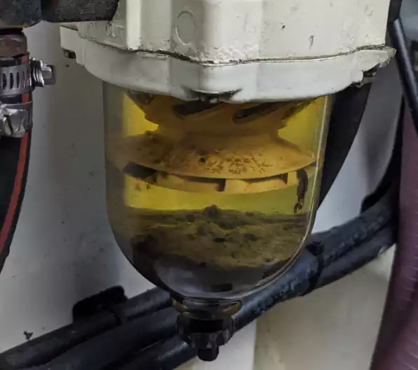 Image showing Primary Fuel filter contaminated with 'gunk' - a sign of diesel bug in tank